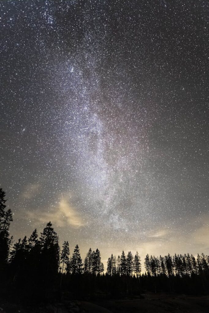 A breathtaking view of the Milky Way galaxy shining over a silhouette of trees at night.